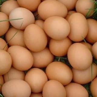 Eggs
